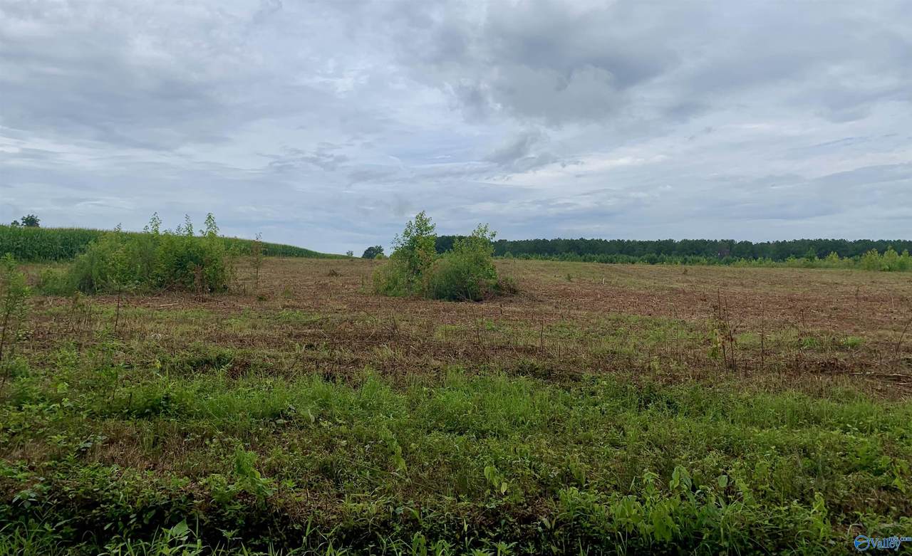 7 County Road 508 - Photo 1