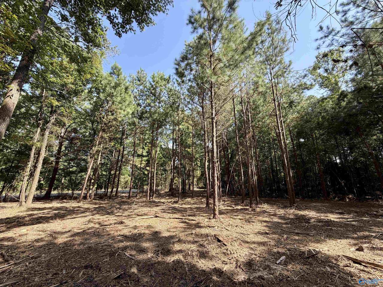 5 Acres +/- Oakland Drive - Photo 1
