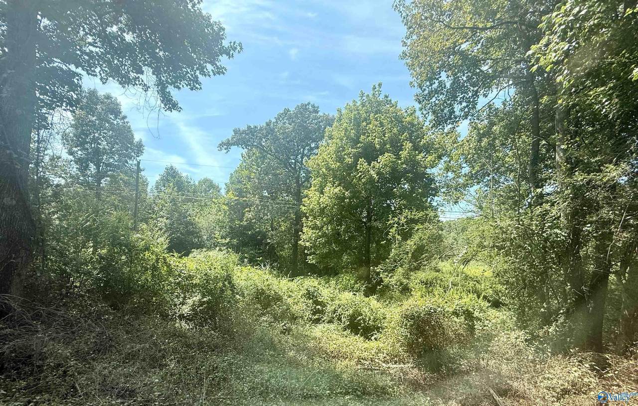 24 acres County Road 1825 - Photo 1