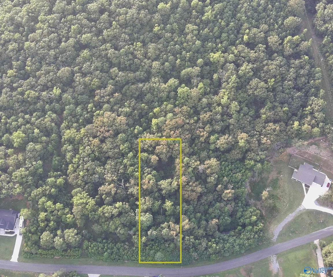 166 Lookout Mountain Drive - Photo 1