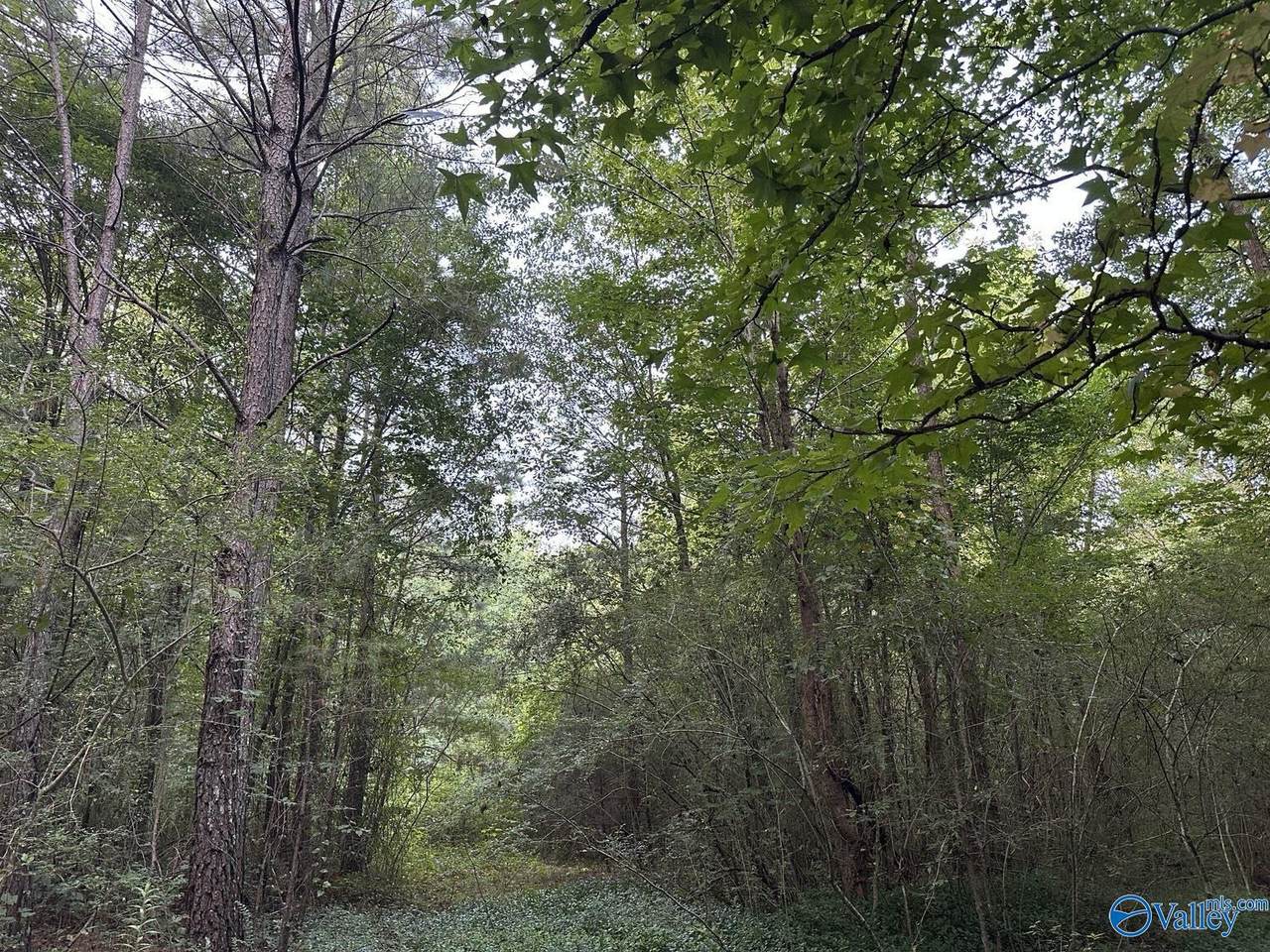 001 Skyball Road - Photo 1