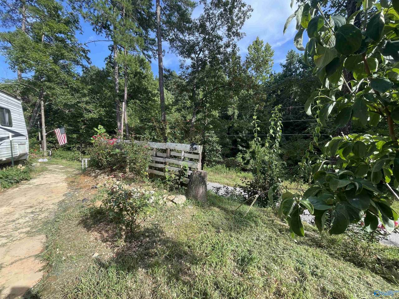 797 Dripping Rock Road - Photo 1