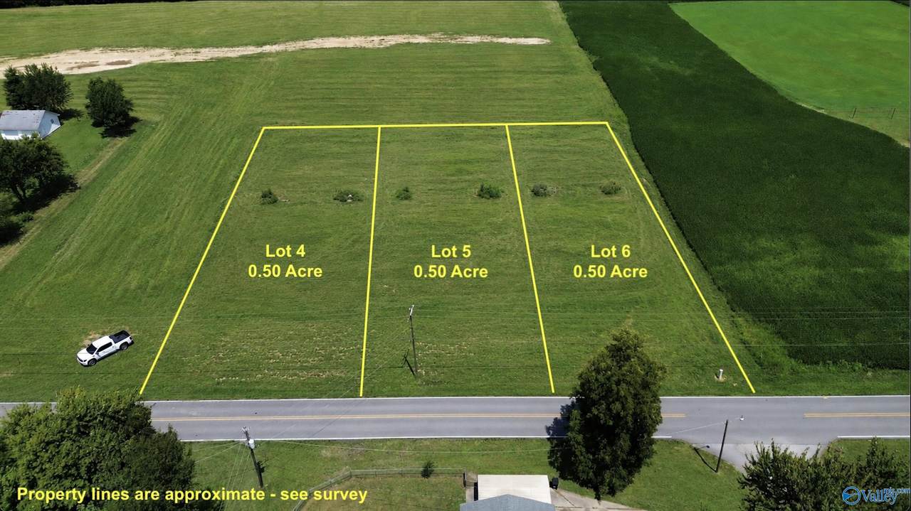27115 Shannon Road - Photo 1