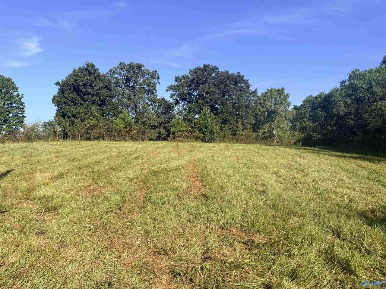 Lot 31 County Road 158 - Photo 1