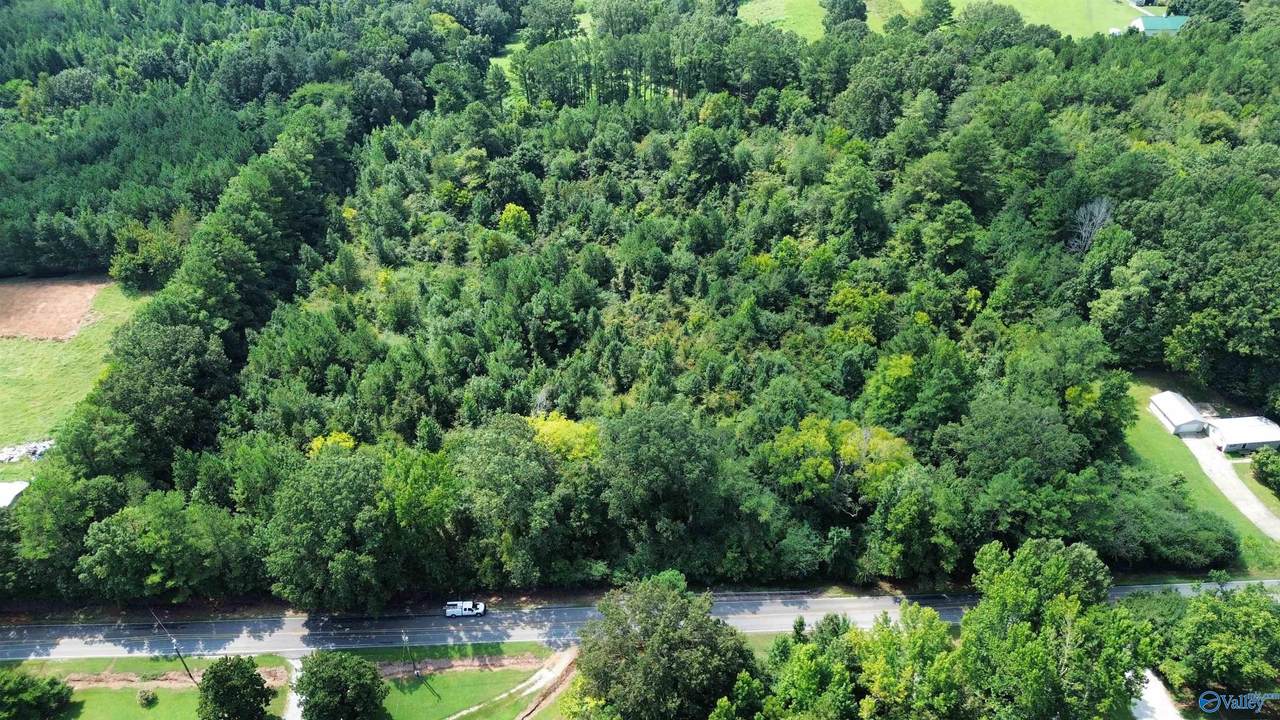 10 Acres Snake Road - Photo 1