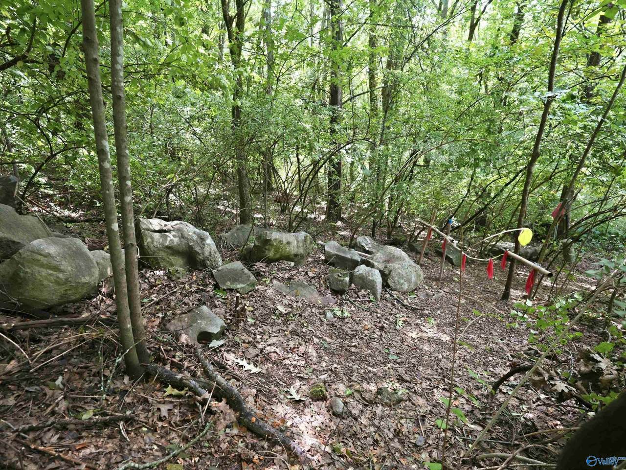 6321 Havenwood Drive - Photo 1