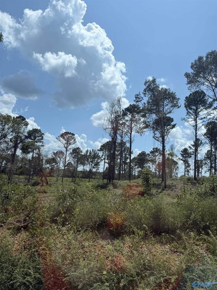 Lot 34 County Road 158 - Photo 1