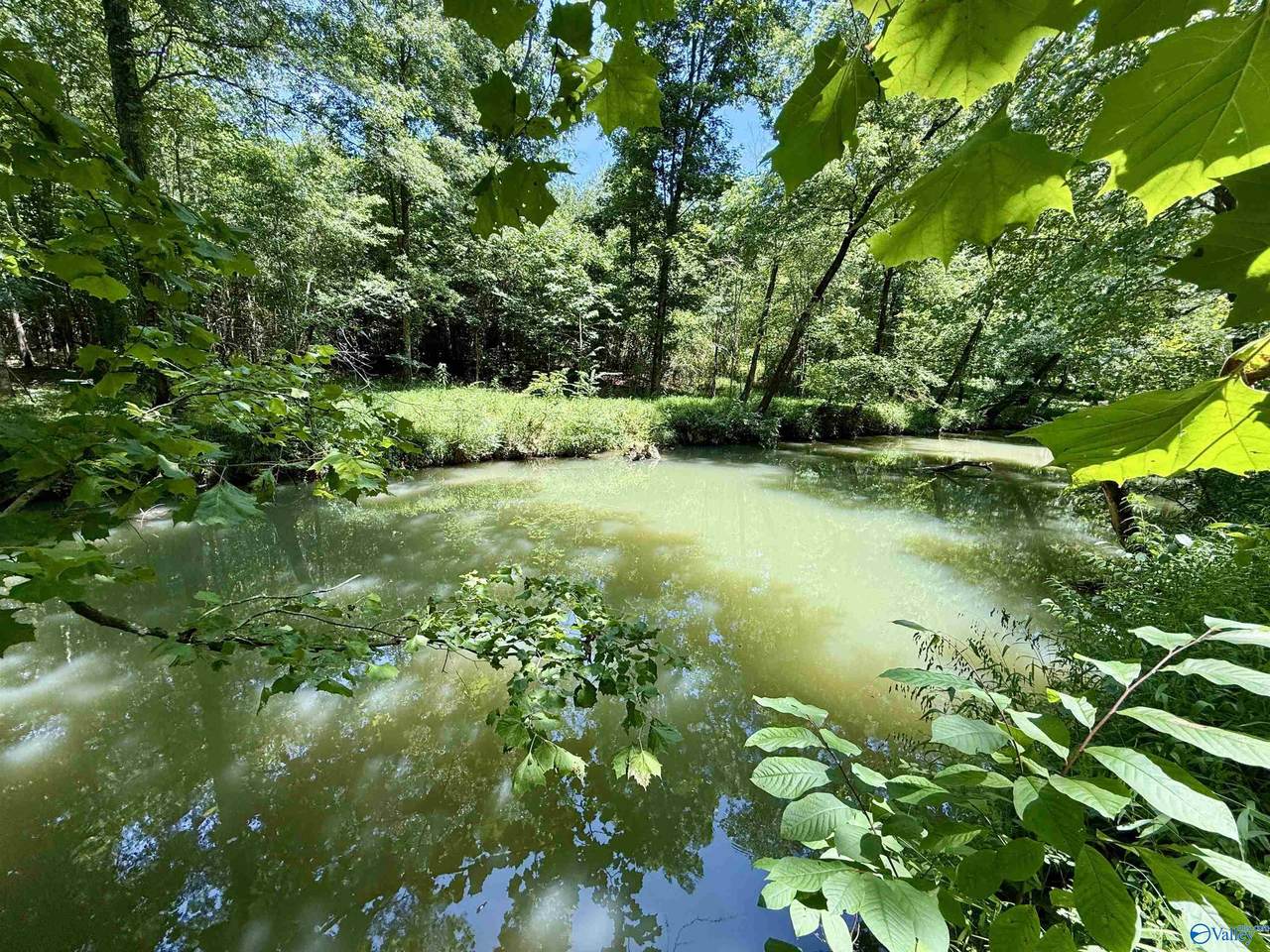 126 AC County Road 97 - Photo 1