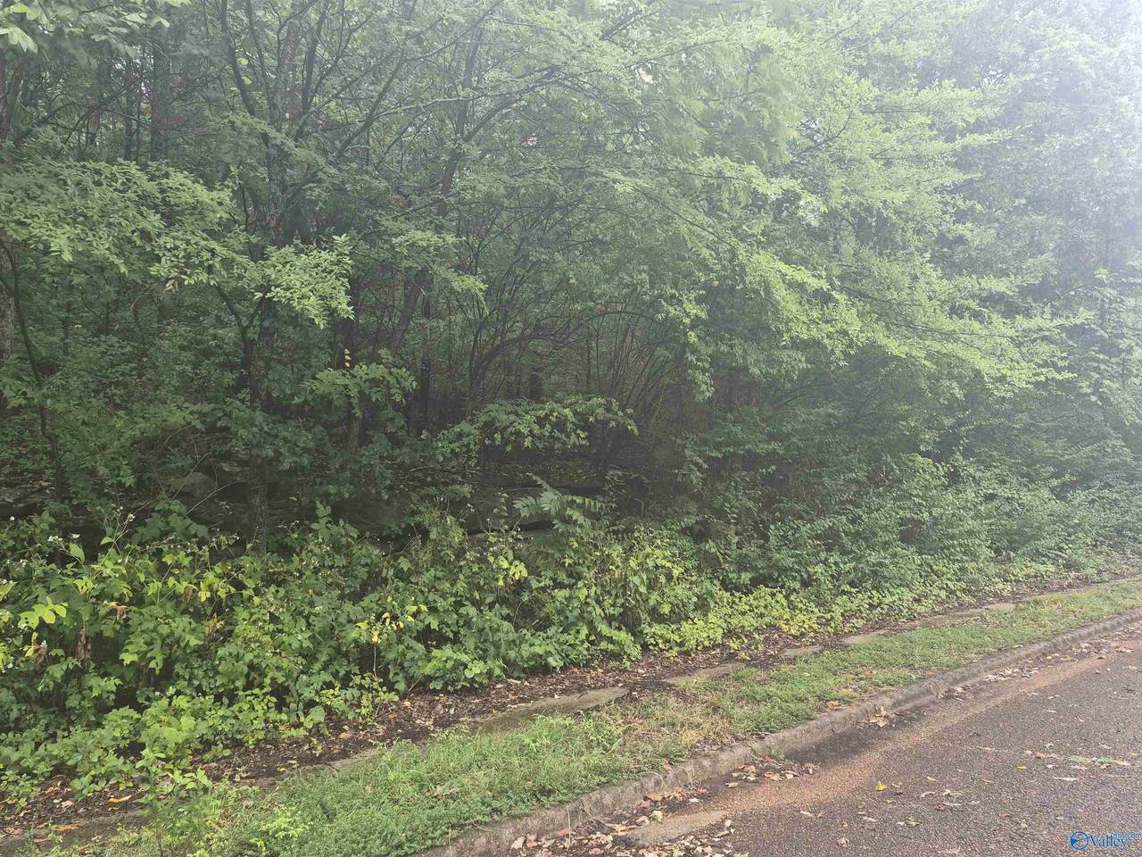 7609 Fox Fire Drive - Photo 1