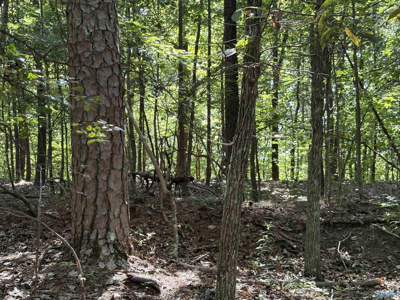 1500 County Highway 103 - Photo 1