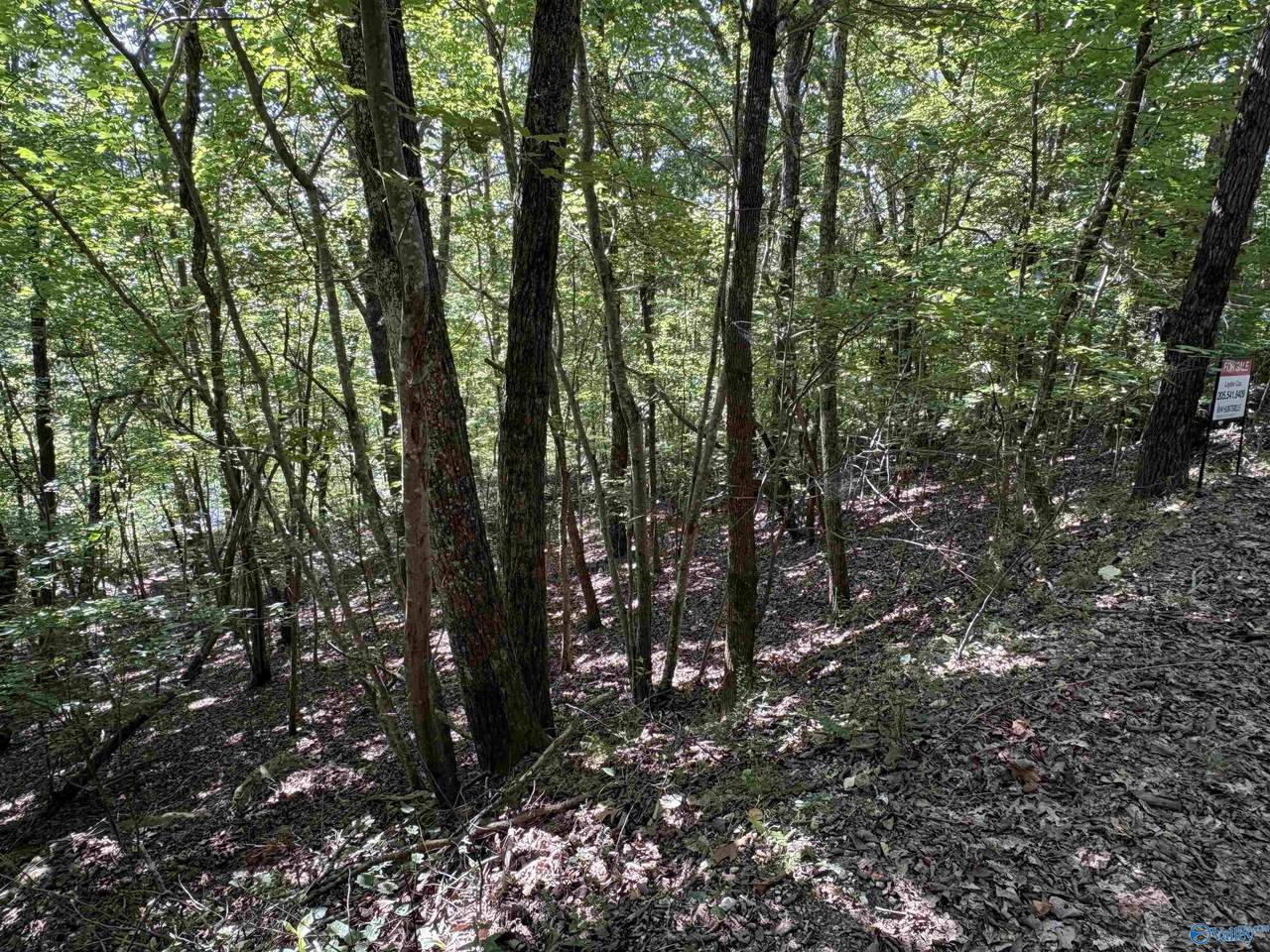 1500 County Road 103 - Photo 1