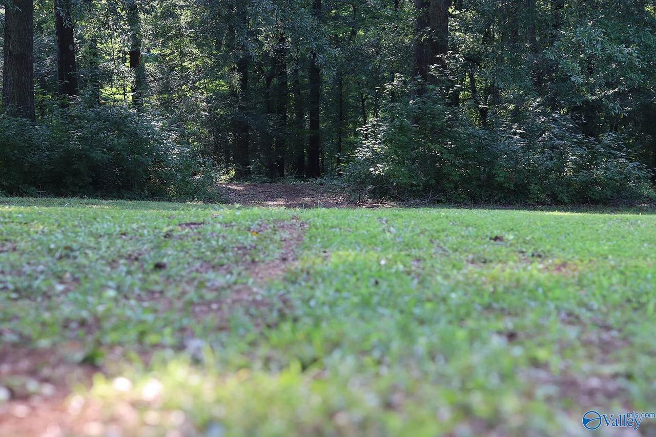 4.7 acres Finlen Road - Photo 1