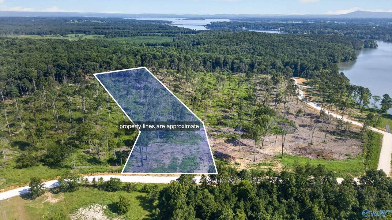lot 3 County Road 1056 - Photo 1