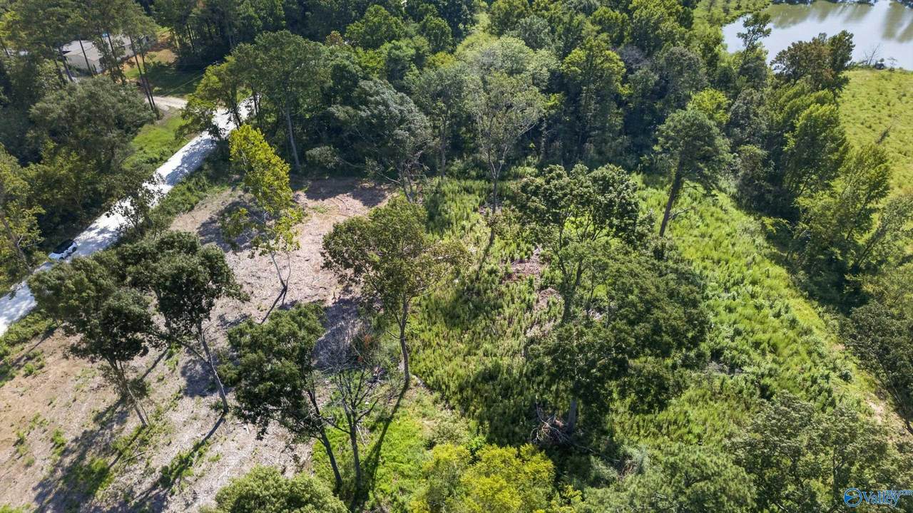 Lot 32 County Road 158 - Photo 1