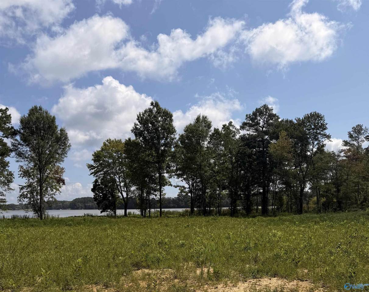 Lot 26 Private Road - Photo 1