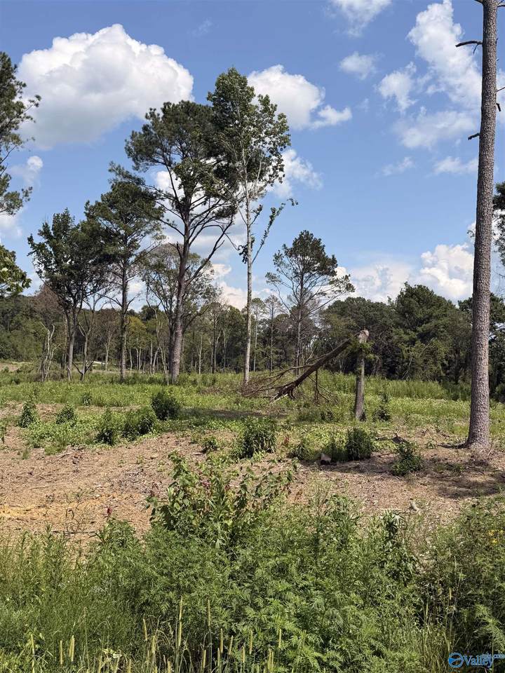 Lot 37 County Road 158 - Photo 1