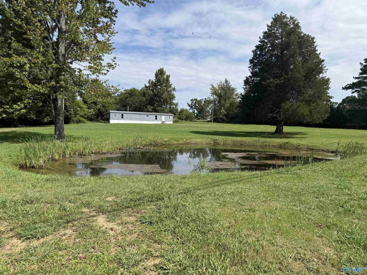 17459 County Road 460 - Photo 1