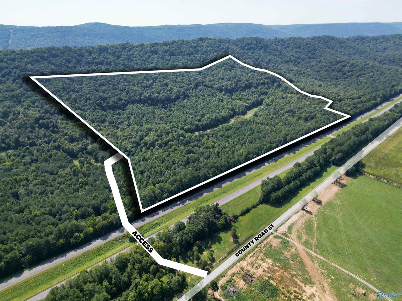 94 Acres County Road 51 - Photo 1