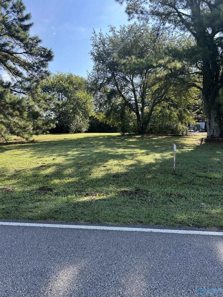 561 Walnut Grove Road - Photo 1