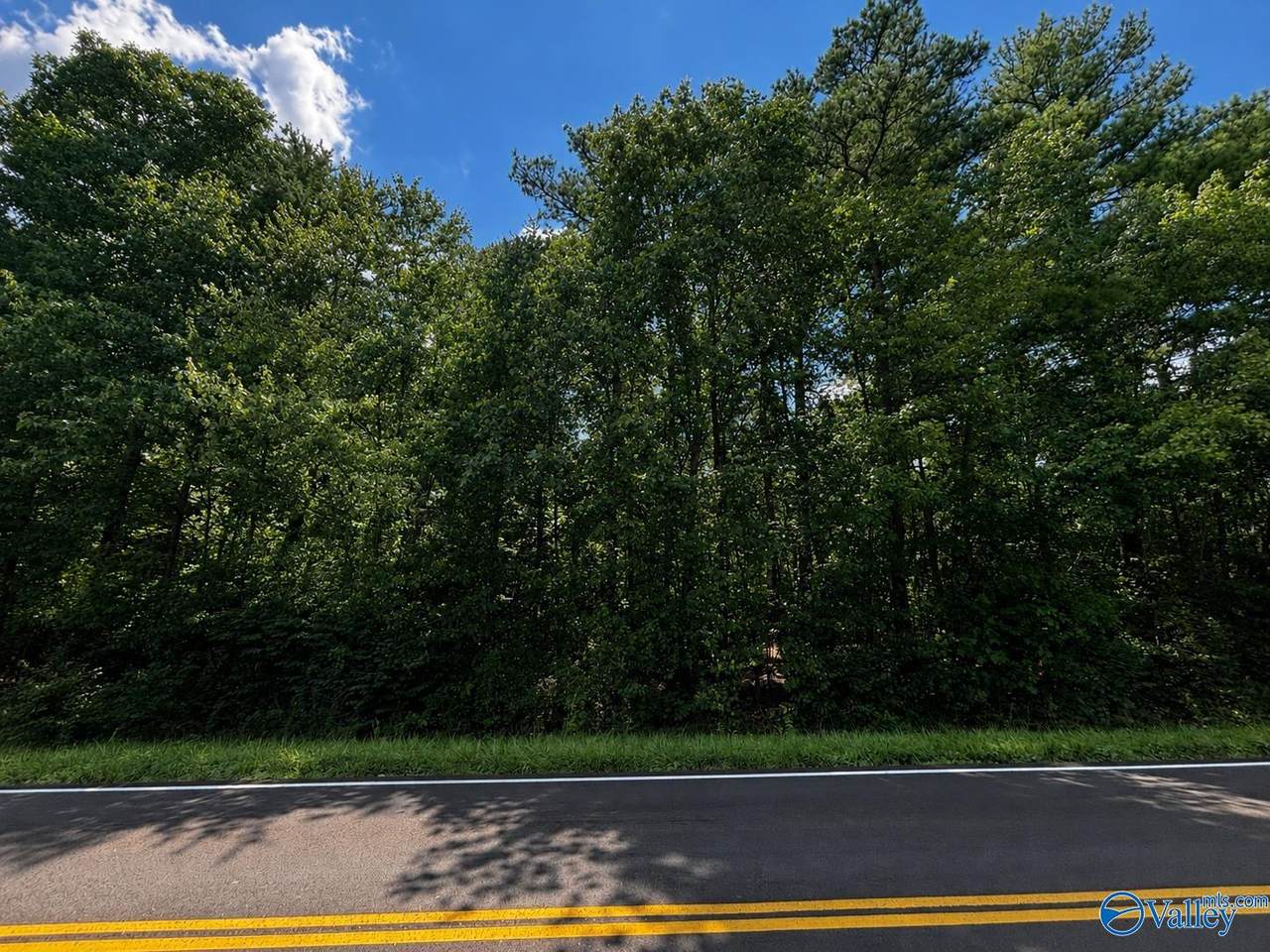 1311A Adamsburg Road - Photo 1