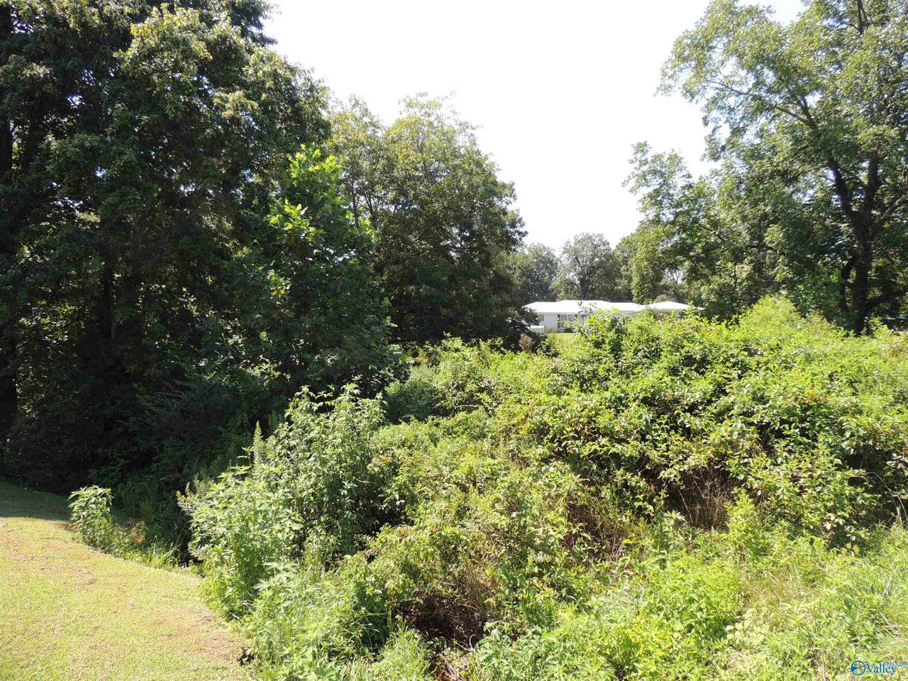 .51 Gaines Street - Photo 1