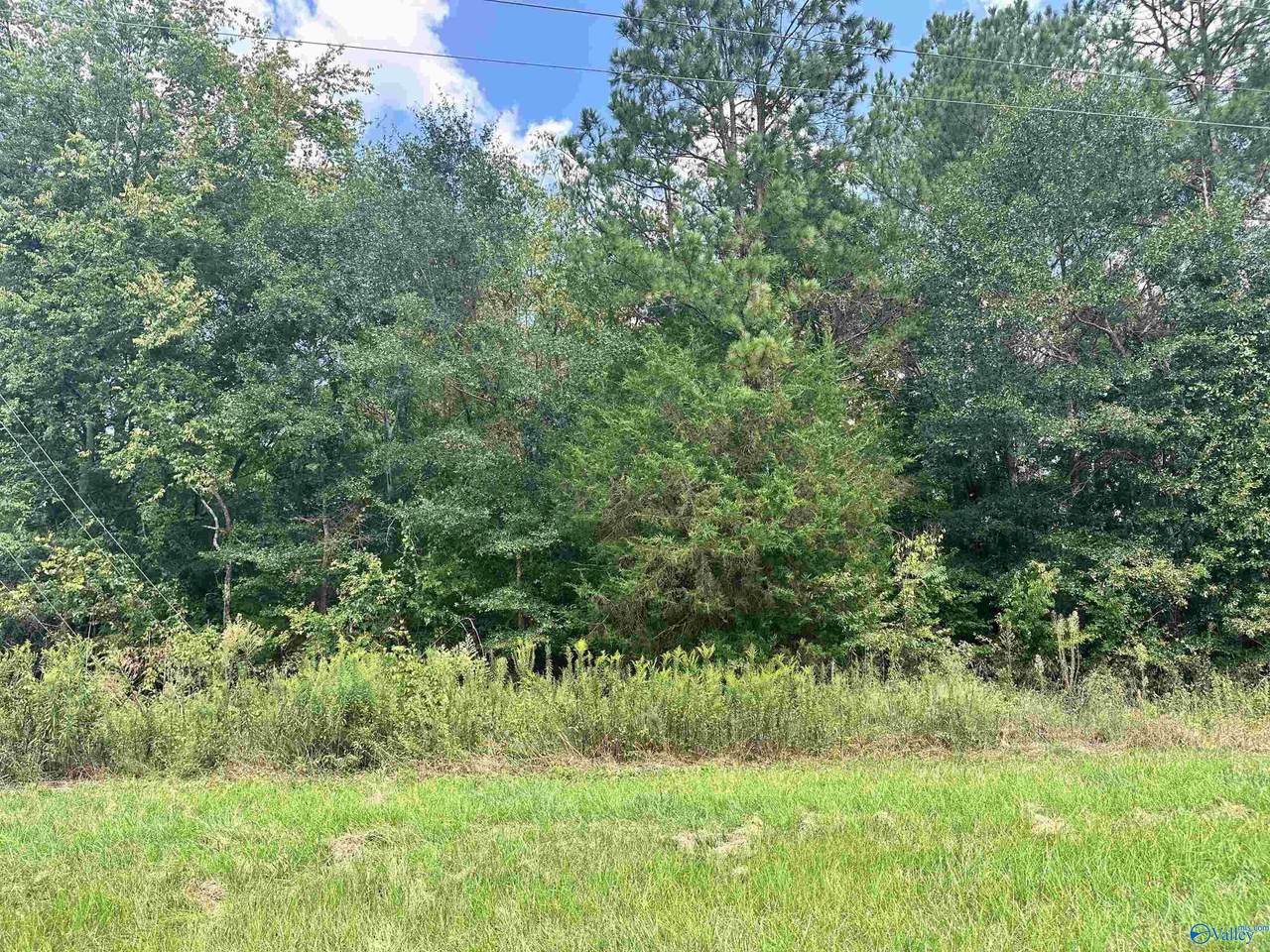 2.6 acres Hwy 35 - Photo 1