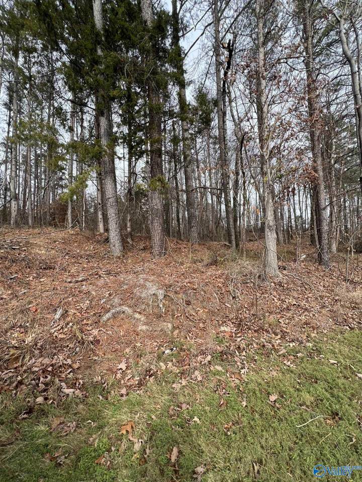 5627 Alabama Highway 227 - Photo 1