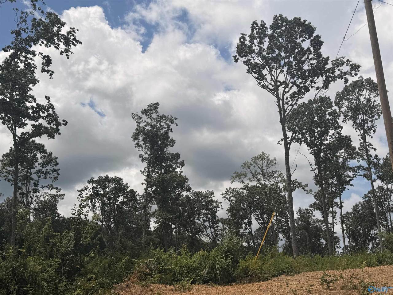 Lot 10 County Road 641 - Photo 1