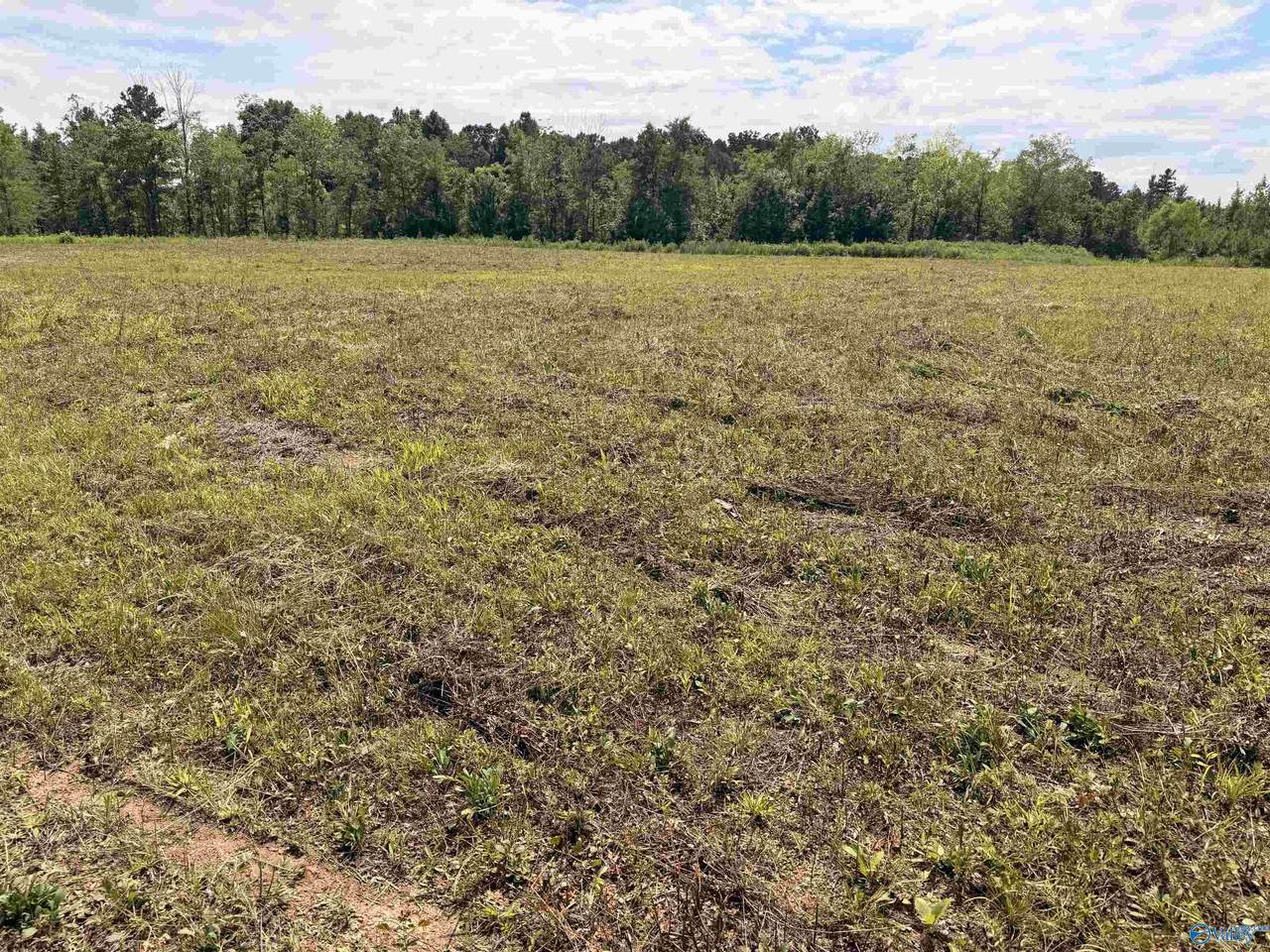 Lot 48 County Road 32 - Photo 1
