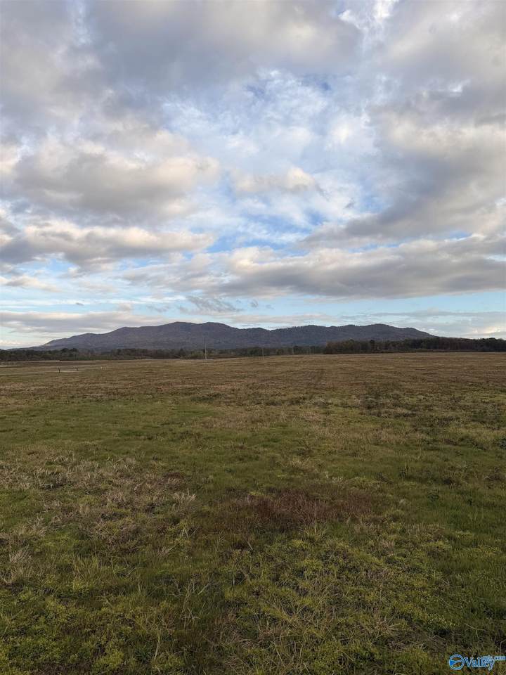 Lot 50 County Road 32 - Photo 1