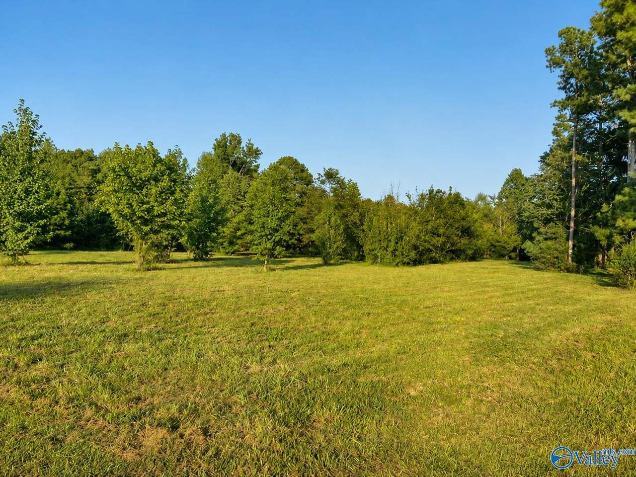 21.25 ACRES Hopewell Road - Photo 1