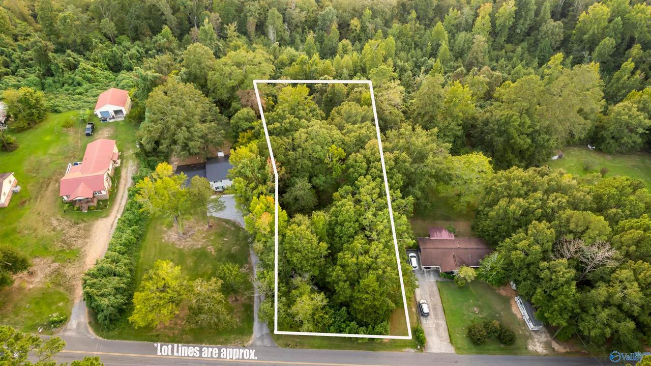 .68 Acre Lister Ferry Road - Photo 1
