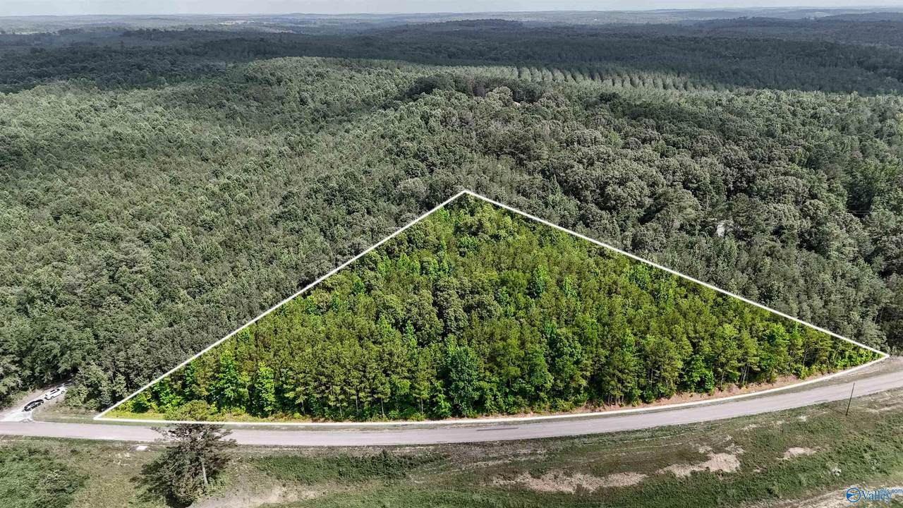 4.8 ACRES County Road 33 - Photo 1
