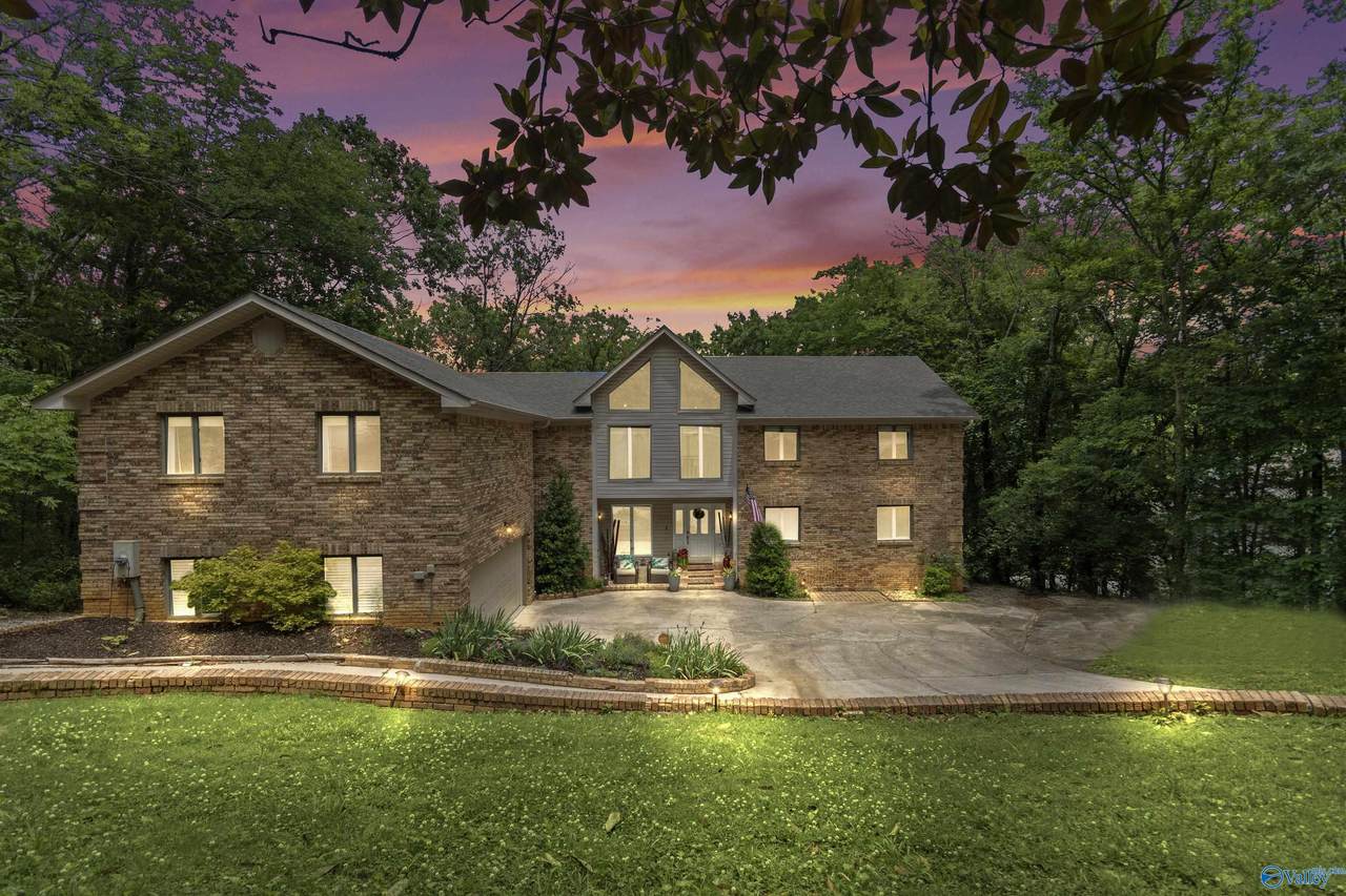 10017 Torino Drive - Photo 1