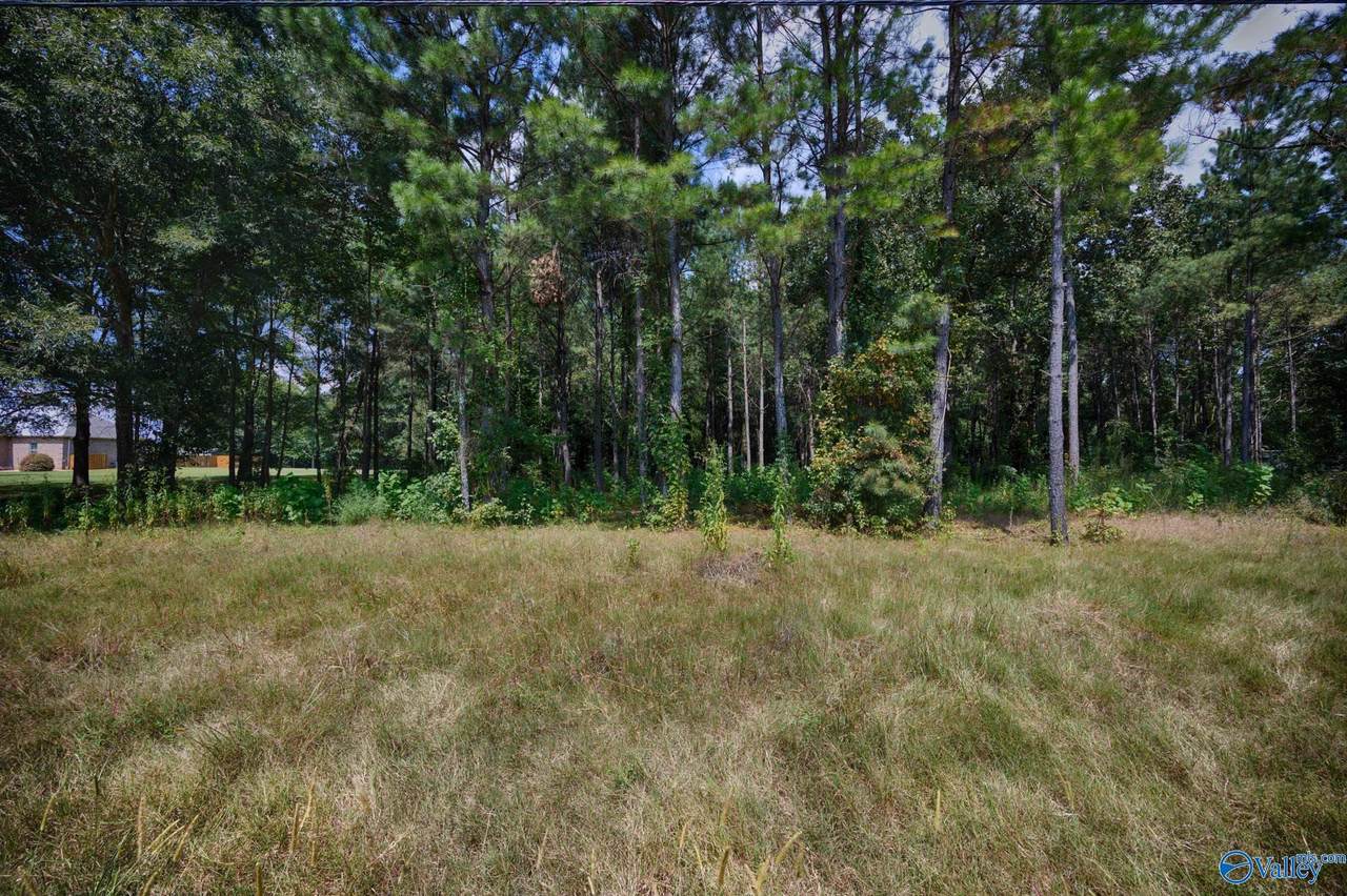 19239 Bick Jock Road - Photo 1