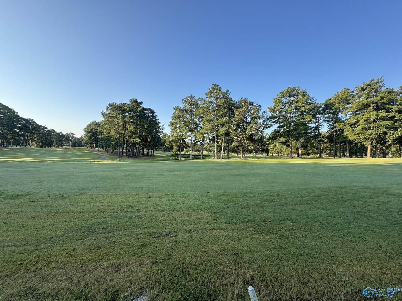 Lot 6 County Road 380 - Photo 1