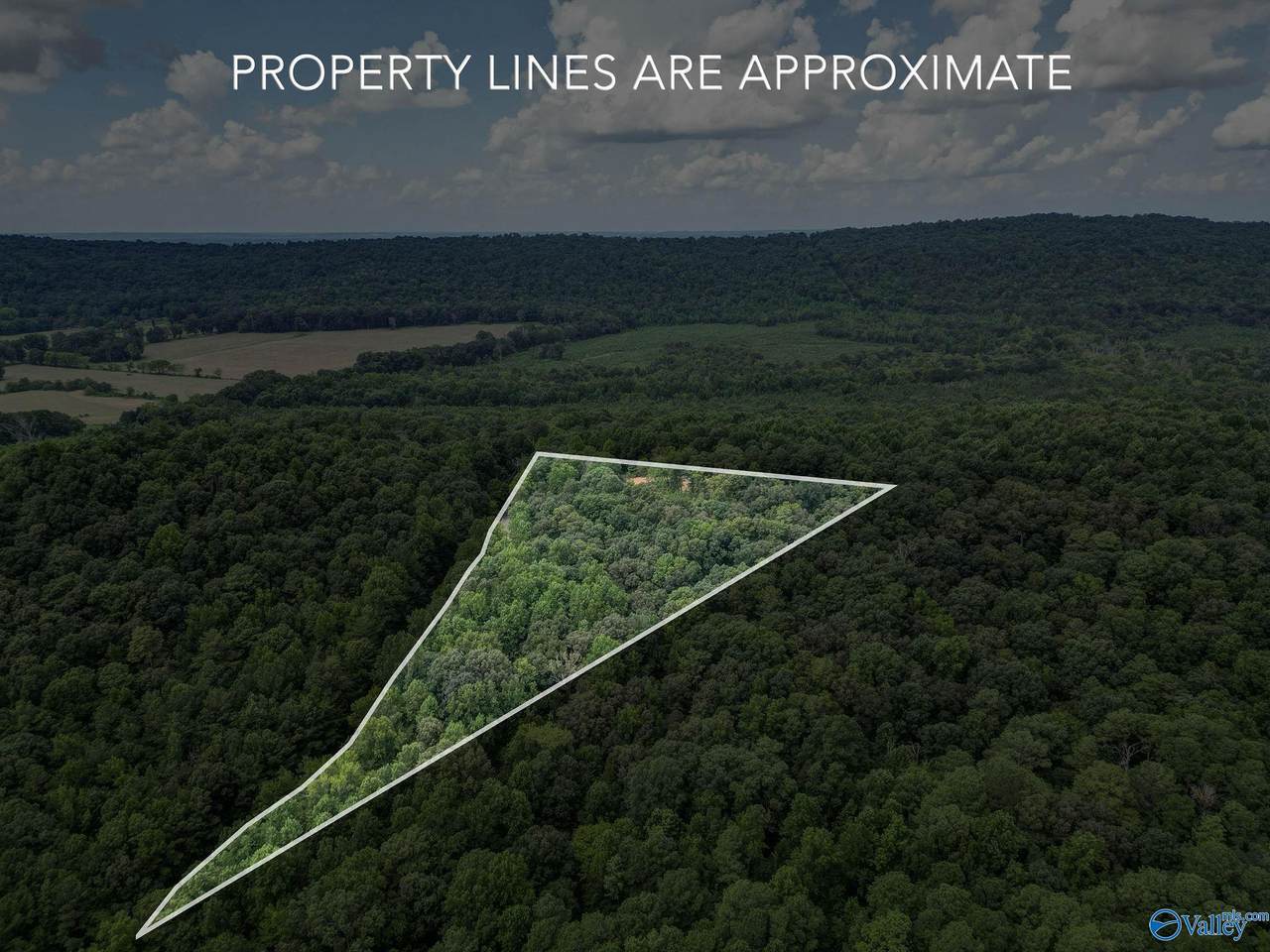 1841 Bud Umphrey Road - Photo 1
