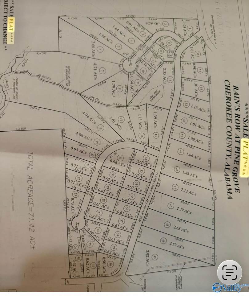 Lot 49 County Road 212 - Photo 1
