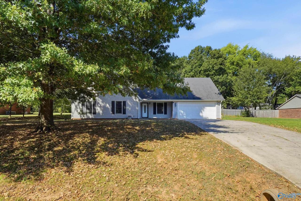 130 Frankie Lane - Photo 1