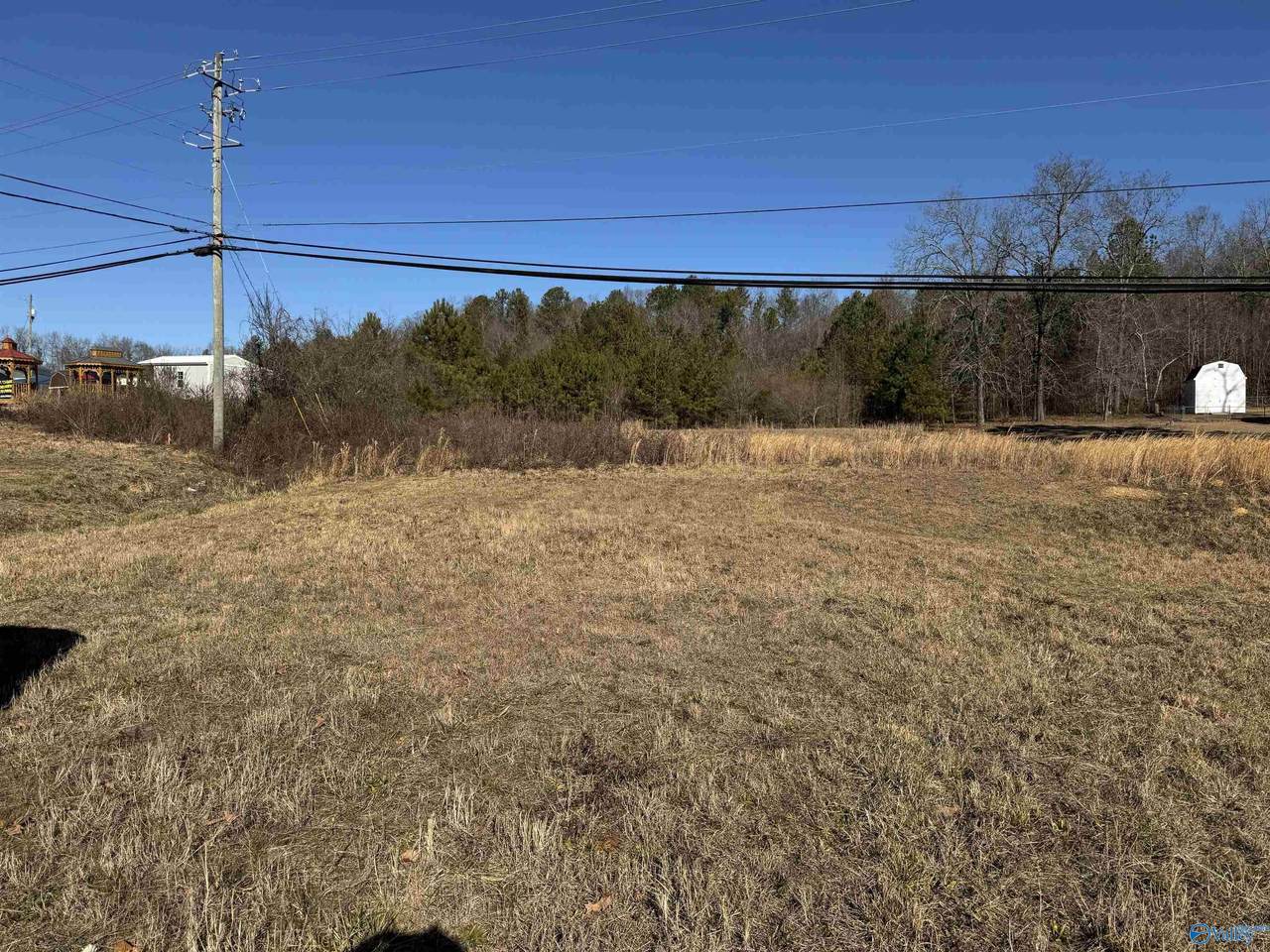 2939 Highway 431 - Photo 1