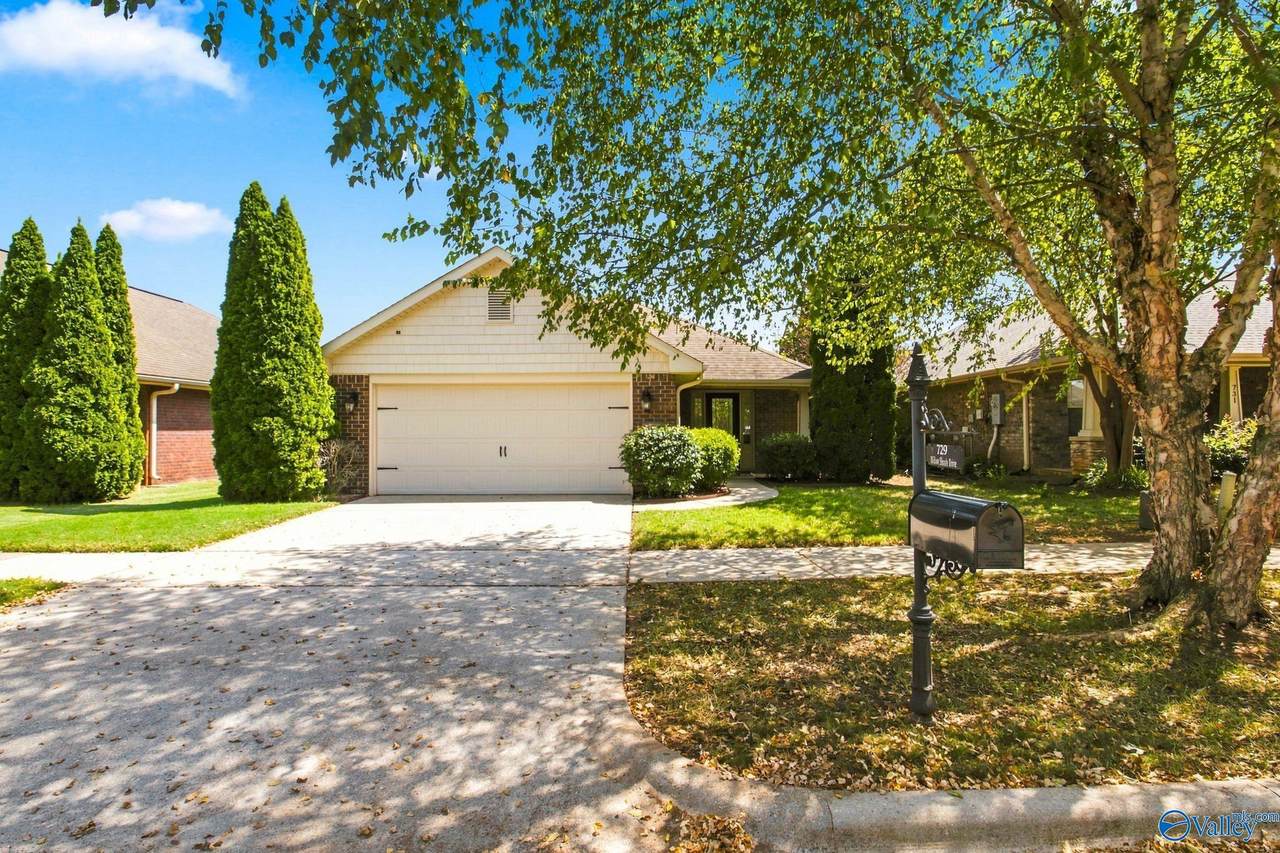 729 Willow Shoals Drive - Photo 1