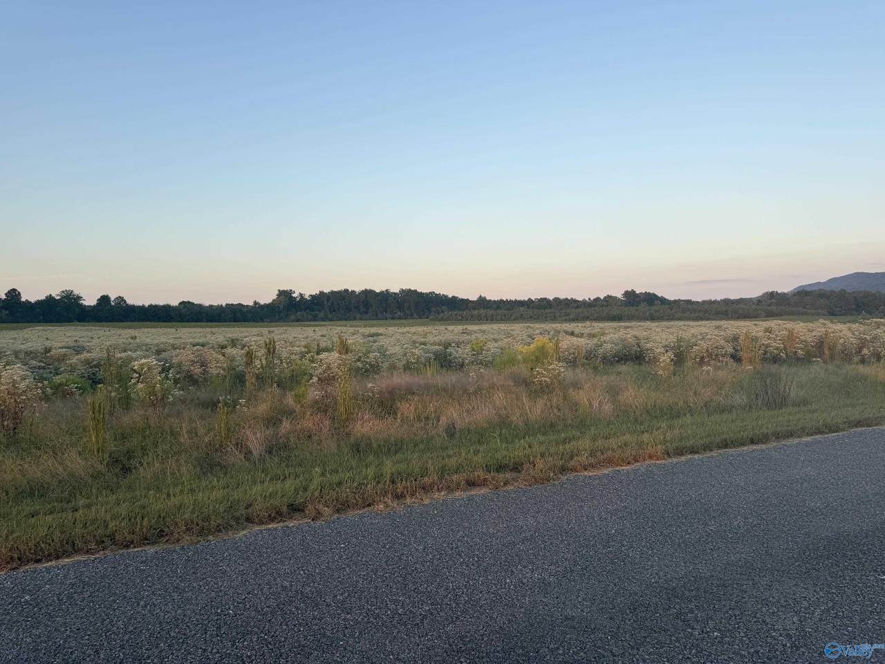 Tract 35 County Road 32 - Photo 1