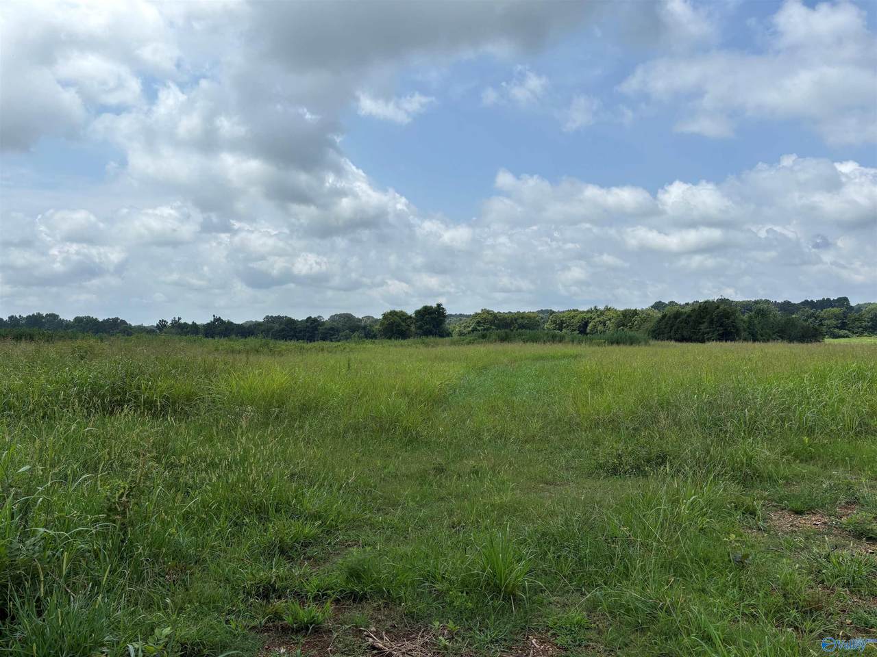 199 Acres Buddy Williamson Road - Photo 1