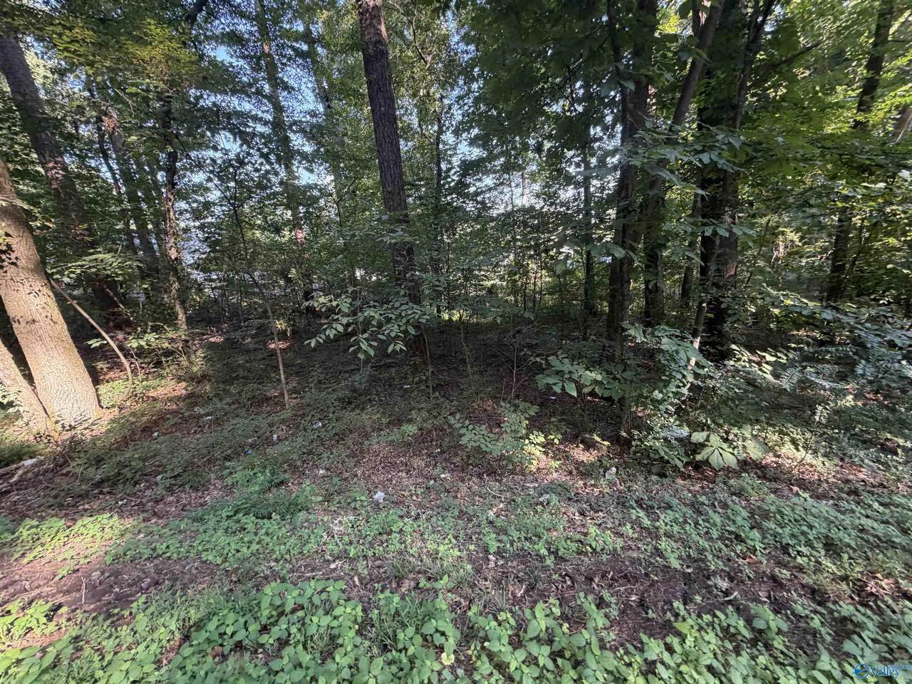 Lot 38 Creek Path/Browns Valley Rd - Photo 1