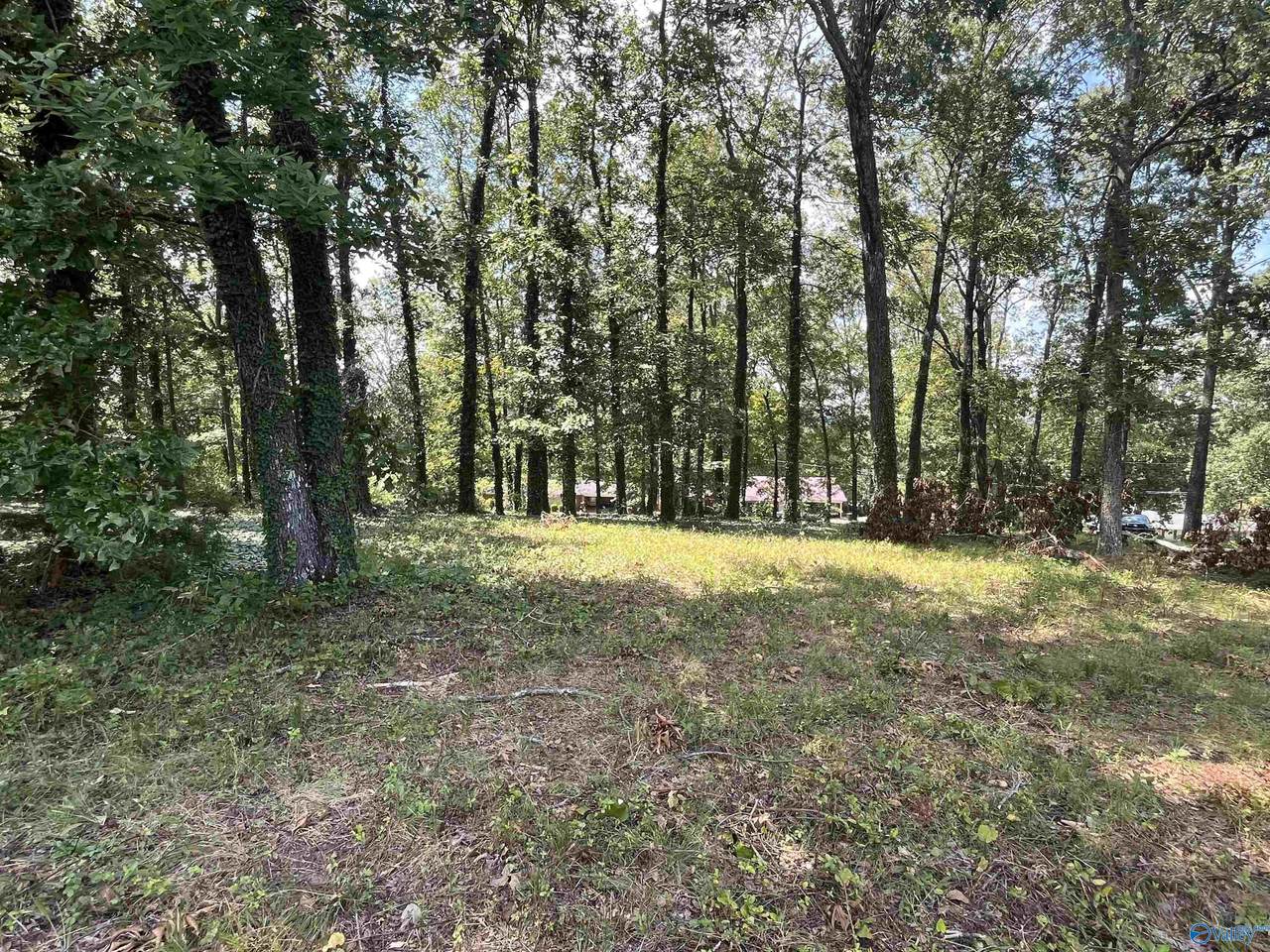 1307 Bellevue Drive - Photo 1