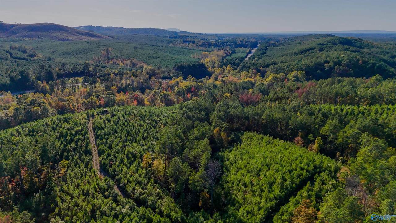 33 County Road 101 - Photo 1