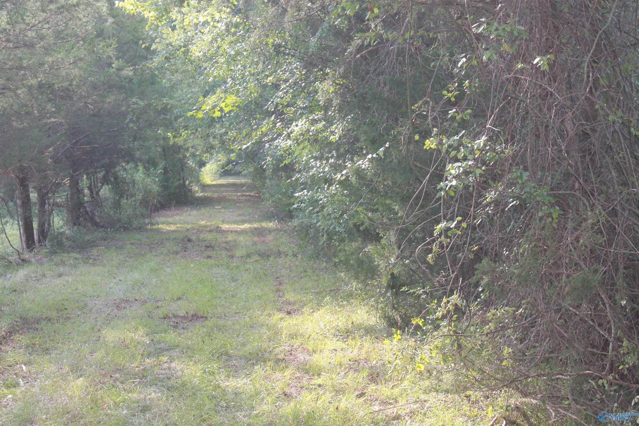 39 Acres Culver Road - Photo 1