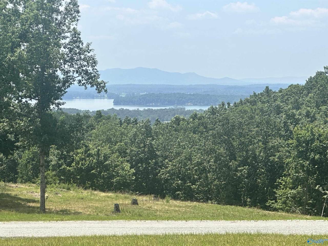 Lot 228 County Road 767 - Photo 1
