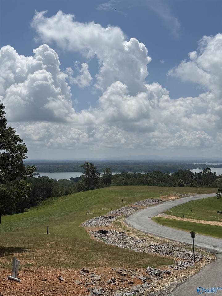 Lot 61 County Road 767 - Photo 1