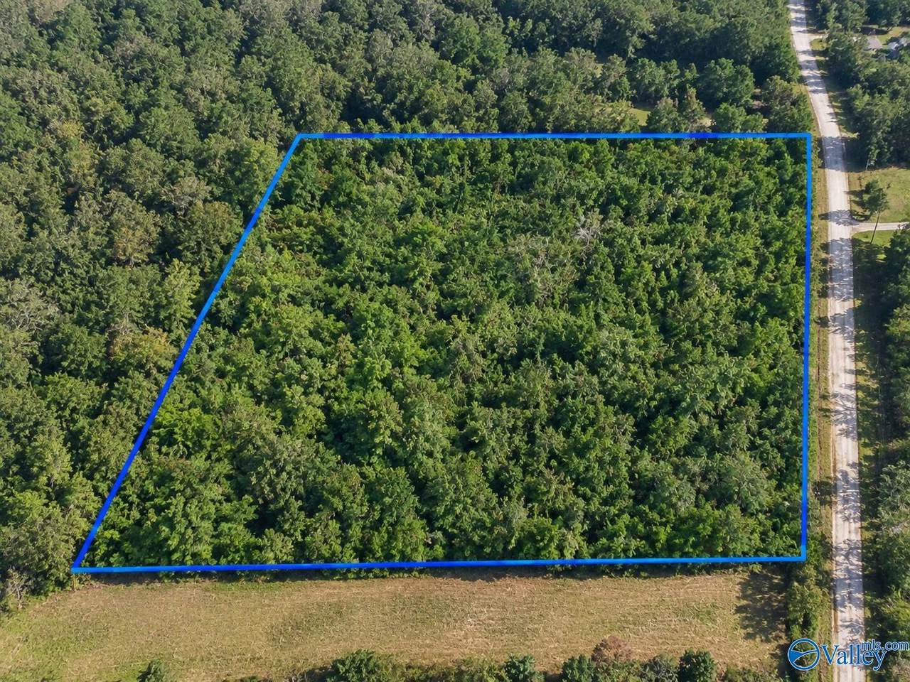 10 Acres Bethel Road - Photo 1